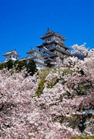 Himeji Castle Japan